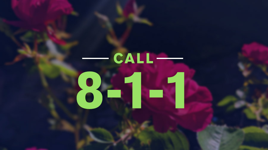 Call 8-1-1