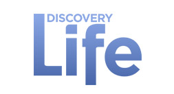 Discovery Life